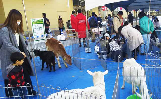 ふれあい動物園