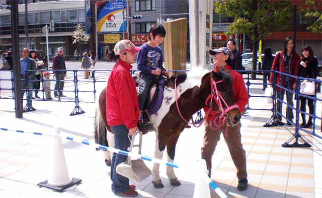 ポニー乗馬